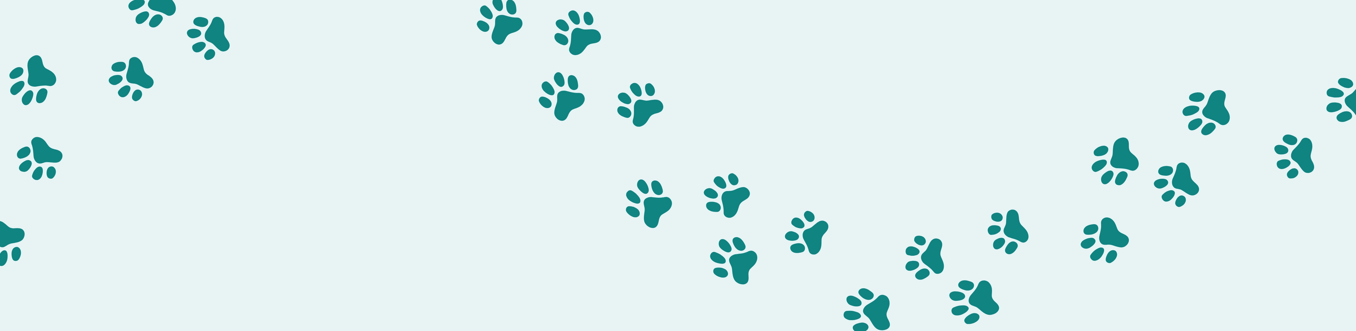 Testing purchase Eric