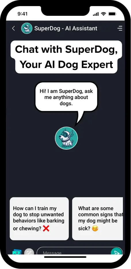 DogPack Feed feature - Social feed where dog lovers connect through photos, videos, and updates