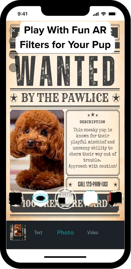 DogPack Park feature - Discover and explore dog-friendly parks with amenities, photos, and reviews